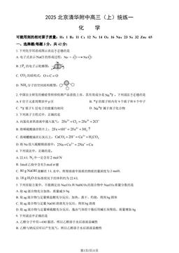 2025北京清华附中高三（上）统练一化学（教师版）-答案