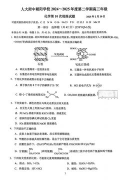 2025北京人大附中朝阳学校高三（下）统练十化学-试题