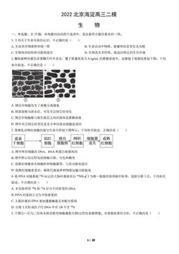 2022北京海淀高三二模生物（教师版）-答案