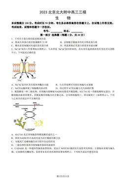 2023北京北大附中高三三模生物（教师版）-答案