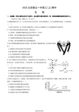 2025北京顺义一中高三(上)期中生物（教师版）-答案