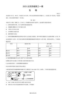 2023北京西城高三一模生物（教师版）-答案