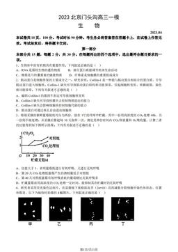 2023北京门头沟高三一模生物（教师版）-答案