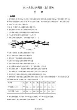 2023北京大兴高三（上）期末生物（教师版）-答案