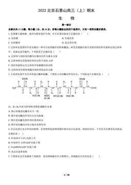 2022北京石景山高三（上）期末生物（教师版）-答案