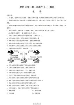 2025北京一零一中高三（上）期末生物（教师版）-答案