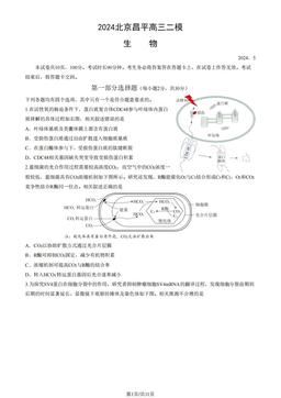 2024北京昌平高三二模生物（教师版）-答案