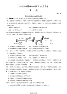 2024北京延庆一中高三10月月考生物（教师版）-答案