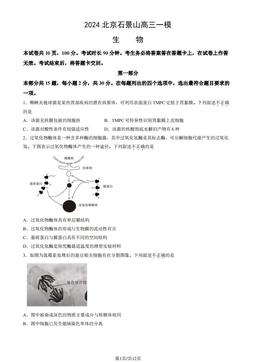 2024北京石景山高三一模生物（教师版）-答案