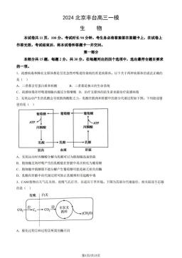 2024北京丰台高三一模生物（教师版）-答案