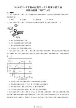 2023-2025北京重点校高三（上）期末生物汇编：细胞的能量“货币”ATP-答案