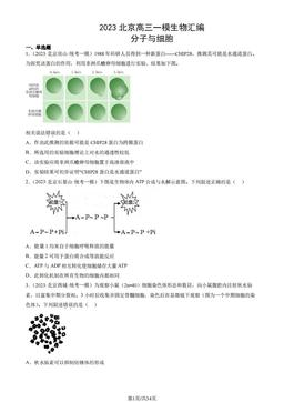 2023北京高三一模生物汇编：分子与细胞-答案