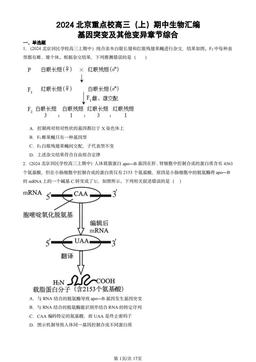 2024北京重点校高三（上）期中生物汇编：基因突变及其他变异章节综合-答案