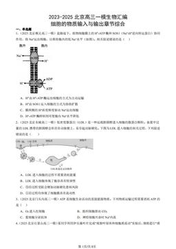 2023-2025北京高三一模生物汇编：细胞的物质输入与输出章节综合-答案