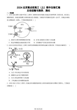 2024北京重点校高三（上）期中生物汇编：主动运输与胞吞、胞吐-答案