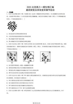 2023北京高三一模生物汇编：基因突变及其他变异章节综合-答案