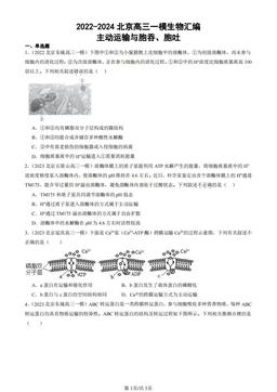 2022-2024北京高三一模生物汇编：主动运输与胞吞、胞吐-答案