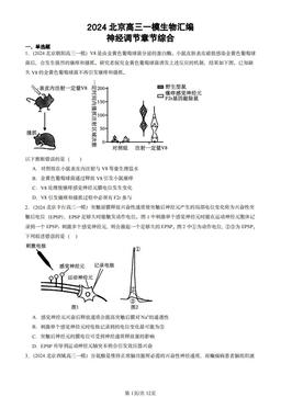 2024北京高三一模生物汇编：神经调节章节综合-答案