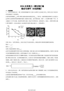 2024北京高三一模生物汇编：稳态与调节（非选择题）-答案