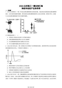 2024北京高三一模生物汇编：神经冲动的产生和传导-答案