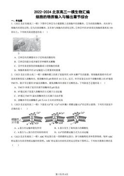 2022-2024北京高三一模生物汇编：细胞的物质输入与输出章节综合-答案