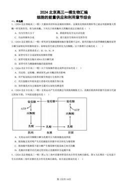 2024北京高三一模生物汇编：细胞的能量供应和利用章节综合-答案