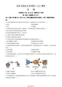 2025北京五十五中高二（上）期中生物（教师版）-答案