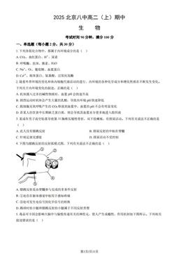 2025北京八中高二（上）期中生物（教师版）-答案