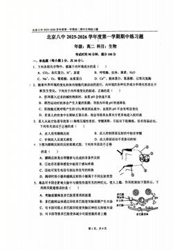 2025北京八中高二（上）期中生物-答案