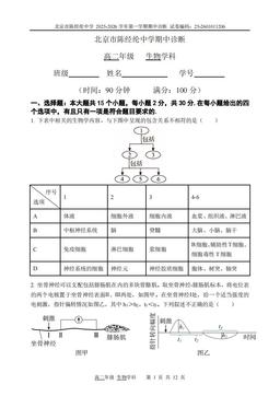 2025北京陈经纶中高二（上）期中生物（教师版）-答案