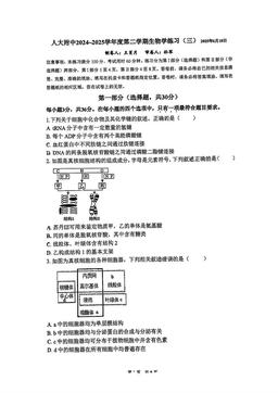 2025北京人大附中高二6月月考生物（三）-答案
