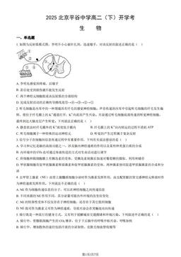 2025北京平谷中学高二（下）开学考生物（教师版）-答案