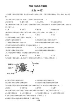2022浙江高考真题生物（6月）（教师版）-答案