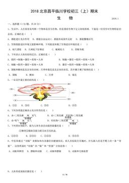 2018北京昌平临川学校初三（上）期末生物（教师版）-答案