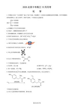 2025北京十中高三12月月考化学（教师版）-答案