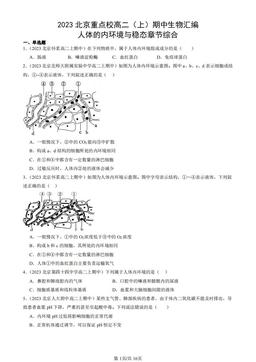 2023北京重点校高二（上）期中生物汇编：人体的内环境与稳态章节综合-答案