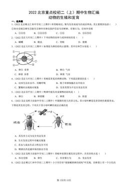 2022北京重点校初二（上）期中生物汇编：动物的生殖和发育-答案