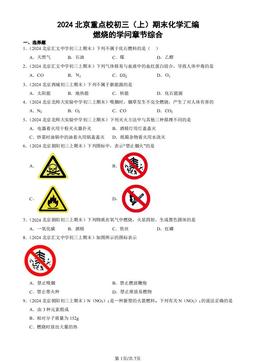 2024北京重点校初三（上）期末化学汇编：燃烧的学问章节综合-答案
