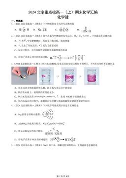 2024北京重点校高一（上）期末化学汇编：化学键-答案