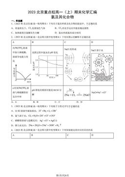 2023北京重点校高一（上）期末化学汇编：氯及其化合物-答案