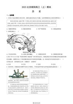 2023北京朝阳高三（上）期末历史（教师版）-答案