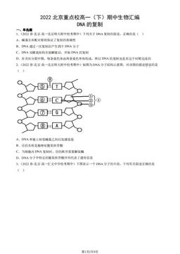 2022北京重点校高一（下）期中生物汇编：DNA的复制-答案