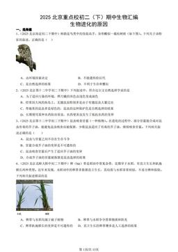 2025北京重点校初二（下）期中生物汇编：生物进化的原因-答案