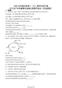 2024北京重点校高一（上）期中化学汇编：化工生产中的重要非金属元素章节综合（非选择题）-答案