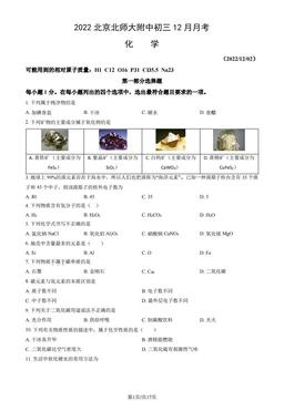 2022北京北师大附中初三12月月考化学（教师版）-答案