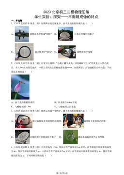 2023北京初三二模物理汇编：学生实验：探究——平面镜成像的特点-答案