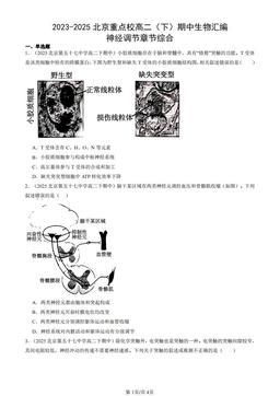 2023-2025北京重点校高二（下）期中生物汇编：神经调节章节综合-答案