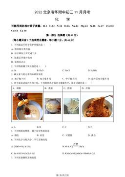 2022北京清华附中初三11月月考化学（教师版）-答案