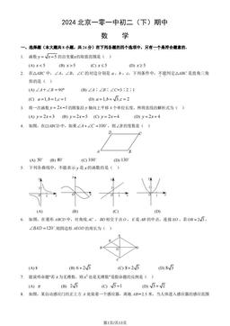 2024北京一零一中初二（下）期中数学（教师版）-答案