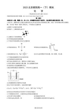 2023北京朝阳高一（下）期末化学（教师版）-答案